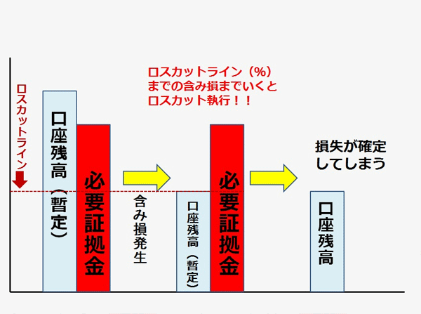 ロスカットのイメージ